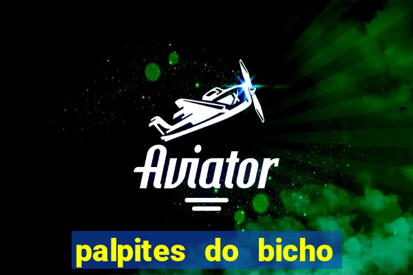 palpites do bicho no celular
